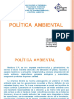 Presentacion Politica Ambiental