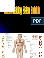 Anatomi Fisiologi Sistem Endokrin 2