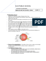 Delhi Public School: Structure of Eye