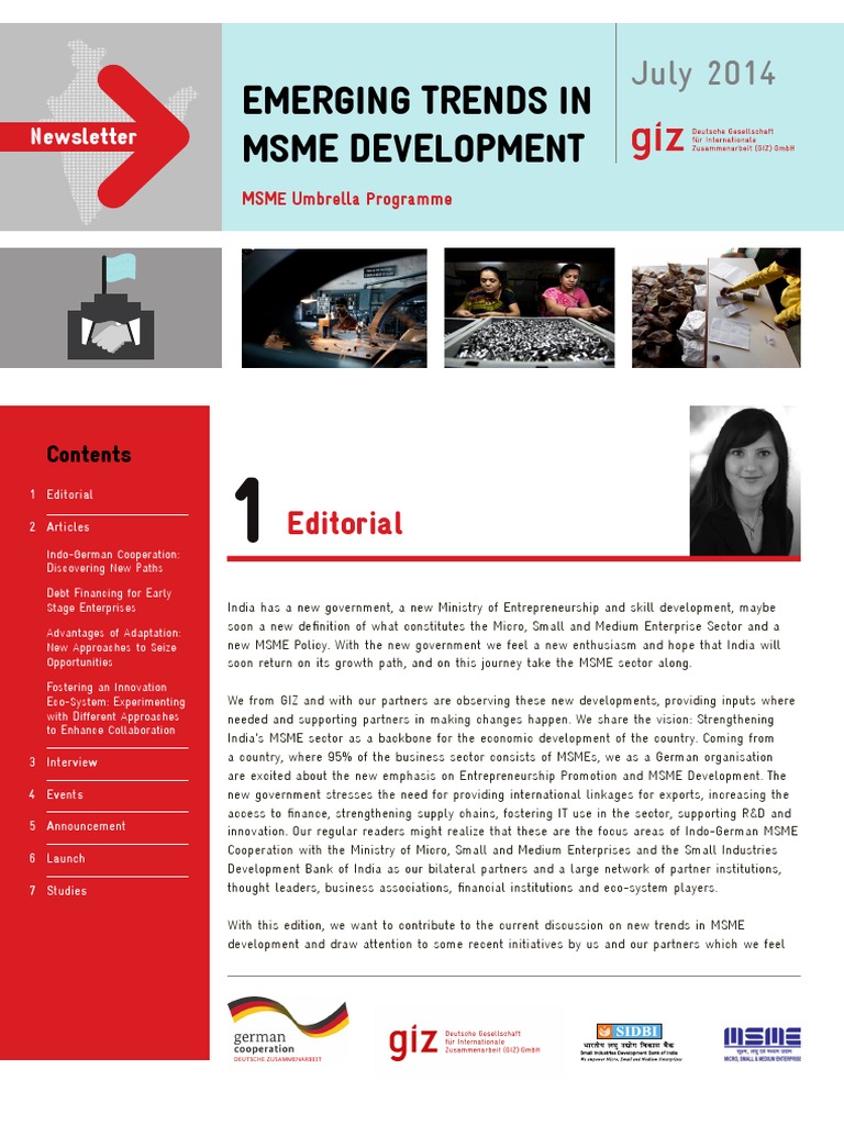 Trends in MSME Development 2014 | PDF | Small And Medium Sized ...