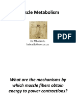 Muscle Metabolism