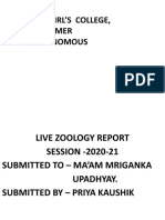 Zoology Live Report
