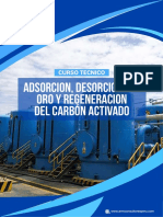 Brochure - Adsorción, Desorción Del Oro y Regeneración Del Carbón Activado - Compressed