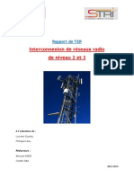 Rapport TER Interco Reseaux Radio Version1