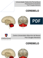 CEREBELO