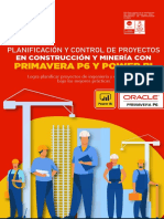 Planificacion y Control de Proyectos 2021 en Vivo