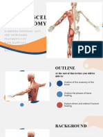Fix. Musculosceletal Anatomy (DR - Hendra)