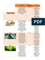 Identifikasi Tanaman Obat