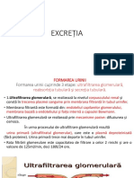 fiziologia s excretor