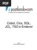 Cobol, Cics, Tso, Jcl