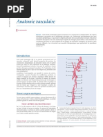 Anatomie vasculaire0000