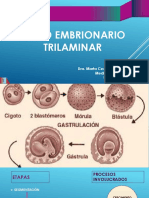 Disco Embrionario Trilaminar