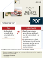 4 - Fogos - Incêndios Florestais - Versão Docente