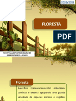3 - Floresta - Versão Docente