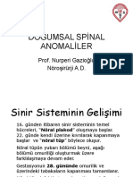 doğumsal spinal anomaliler