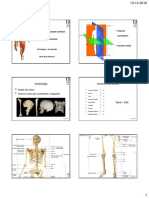 Osteologia Geral e Cabeça