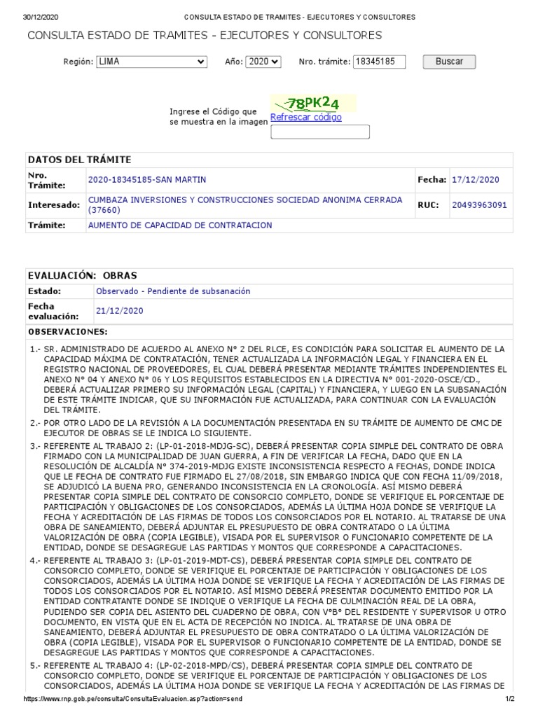Consulta Estado de Tramites - Ejecutores y Consultores | PDF