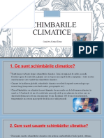 Schimbarile climatice (4)