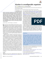 Kinematic Self-Replication in Reconfigurable Organisms