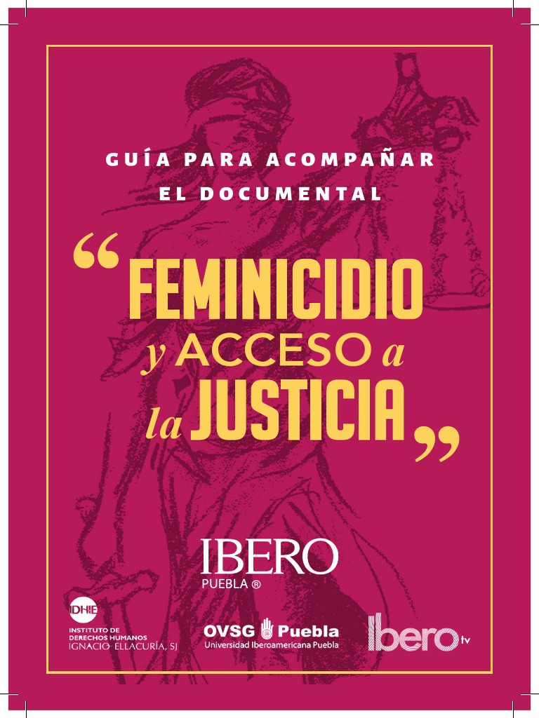Guía: Feminicidio y Justicia | PDF | La violencia contra las mujeres ...