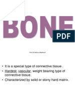 7 Bone