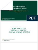 Patologia_tract_digestiv_2021_final