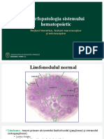 Morfopatologia sistemului hematopoetic 2021_final - Copie