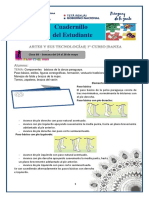 Elementos constitutivos de la danza paraguaya