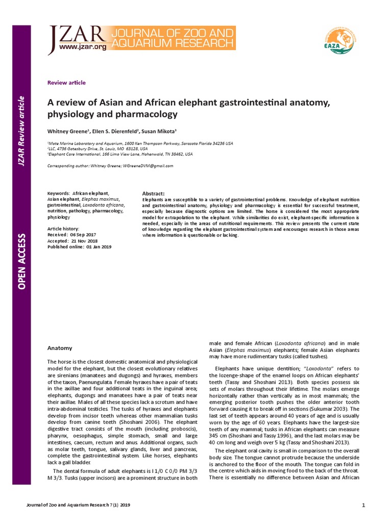 Elephant GI Anatomy & Physiology | PDF | Gastrointestinal Tract | Digestion
