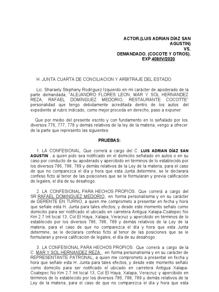 Guia de Escrito de Ofrecimiento de Pruebas de La Parte Actora PDF