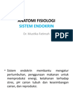13. Sistem Endokrin