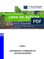 Cana-De-Açúcar Sistema de Produção Em. Prof. Dr. Carlos Azania