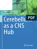 Cerebellum As A CNS Hub