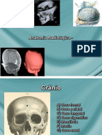 Anatomia Radiol Do Cranio01.Ppt
