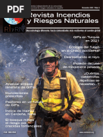 REVISTA INCENDIOS Y RIESGOS