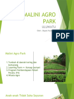 Malini Agro Park