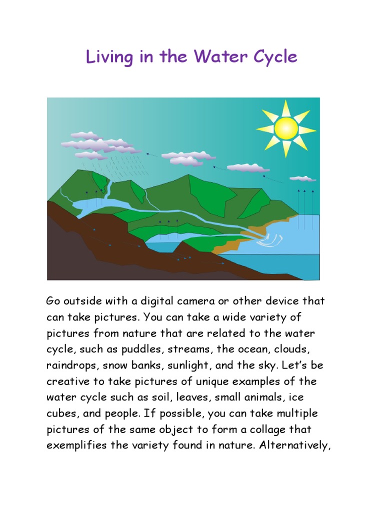 Living In The Water Cycle PDF