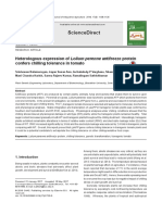 Sciencedirect: Heterologous Expression of Lolium Perenne Antifreeze Protein Confers Chilling Tolerance in Tomato