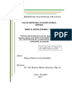 Diego Fabricio León Jaramillo Babesia Zamora Ecuador 2017