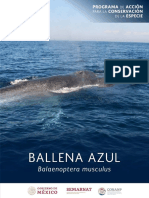 PACE Ballena Azul