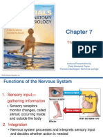 CHAPTER 5 Nervous System