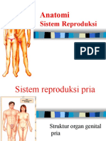 Anatomi Sistem Reproduksi - Dr. Merlin M. Maelissa, SP - OG., M.Kes