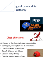 Physiology of Pain and Pathway 2018