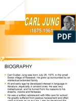 The Jung Report