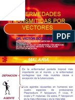 Enfermedades Transmit Id As Por Vectores