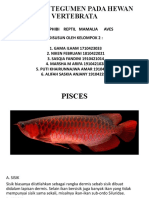 Sistem Integumen Pada Hewan Vertebrata