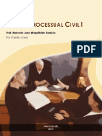 Microsoft Word - Direito Processual Civil I.docx