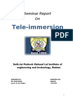 Tele Immersion Report