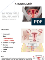 Enfermedades Ginecologicas