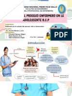 Proceso Enfermero Adolescente